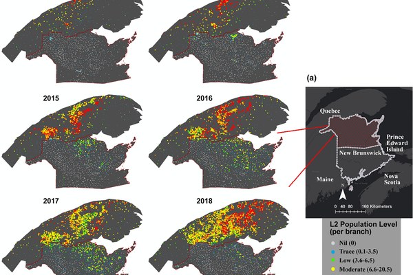 Previous Year Outbreak Conditions and Spring Climate Predict Spruce Budworm Population Changes in the Following Year