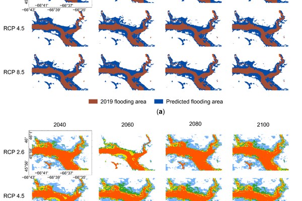 Multi-scale Flood Mapping under Climate Change Scenarios in Hexagonal Discrete Global Grids